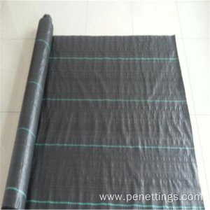Weed Control Membrane with 30cm green line
